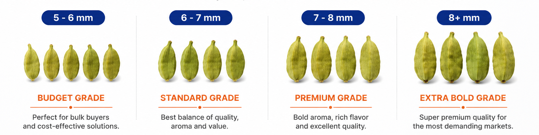 Choose Your Perfect Cardamom Grade